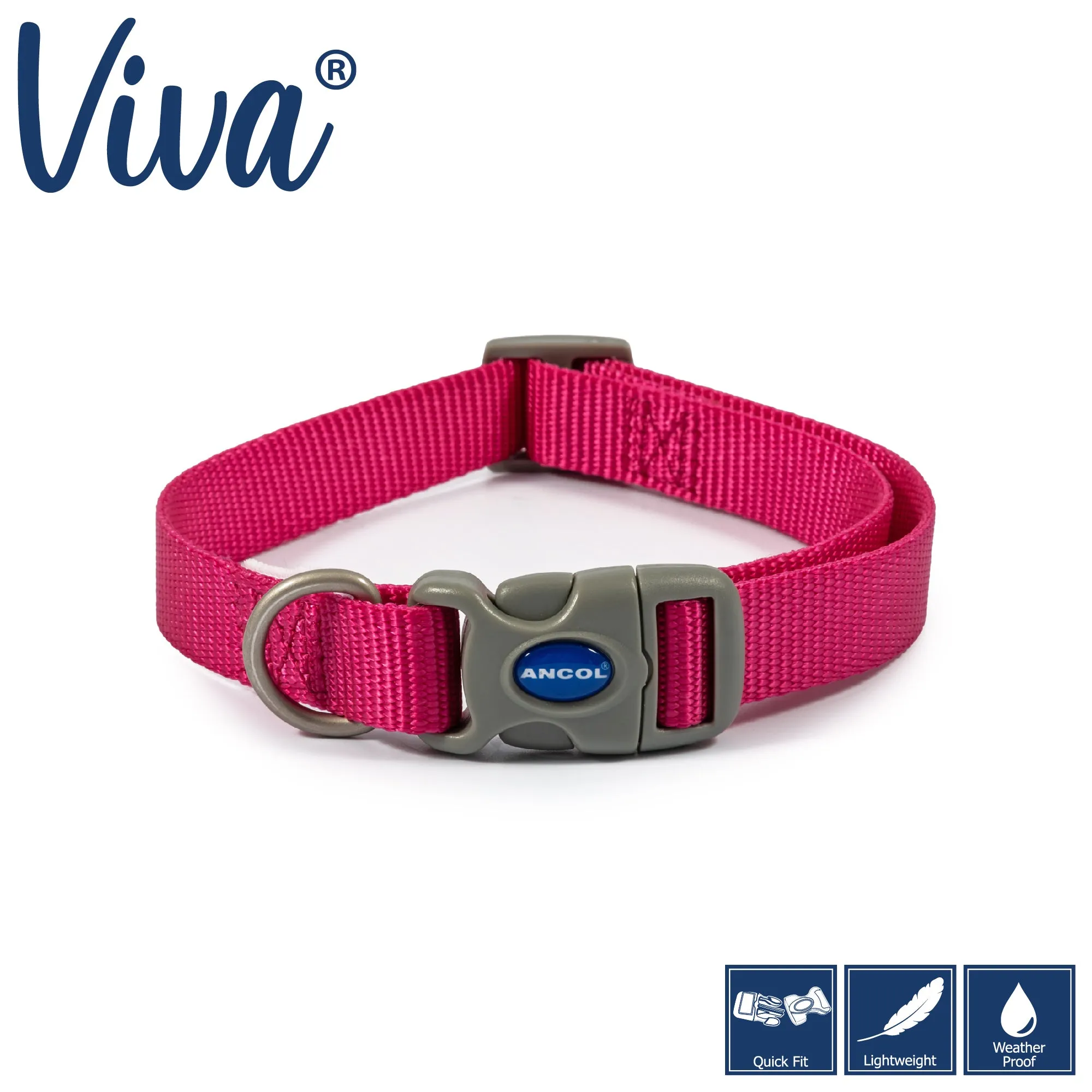 Ancol Viva Quick Fit Adjustable Dog Collar