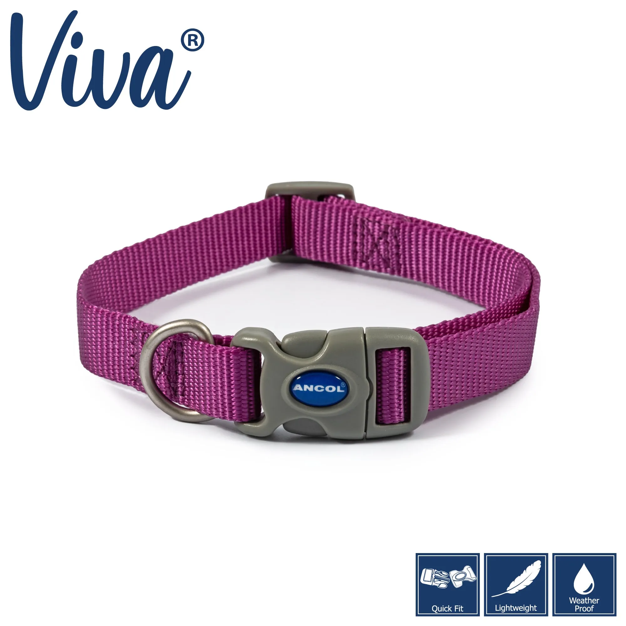 Ancol Viva Quick Fit Adjustable Dog Collar