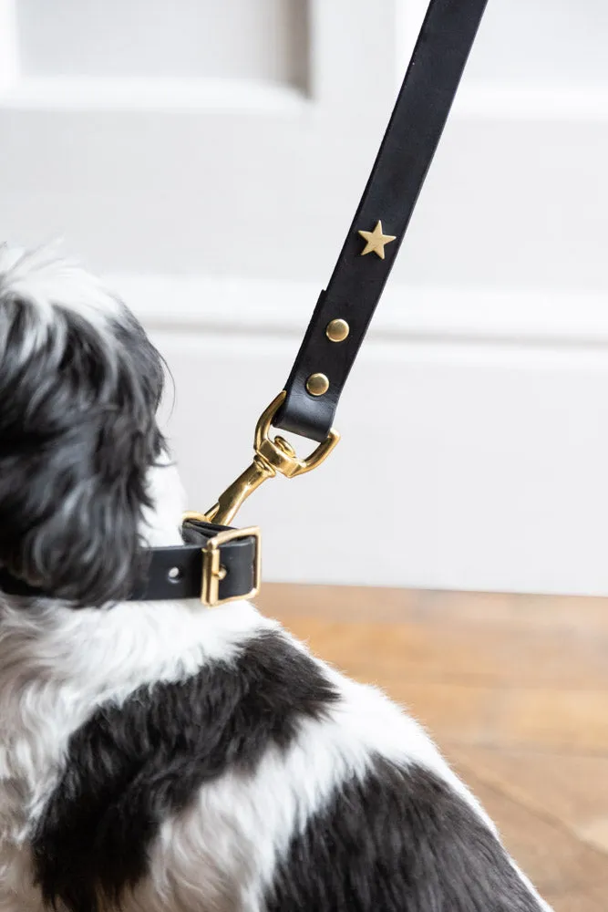 Black Leather Dog Lead With Stars