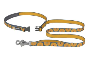 Crag Leash