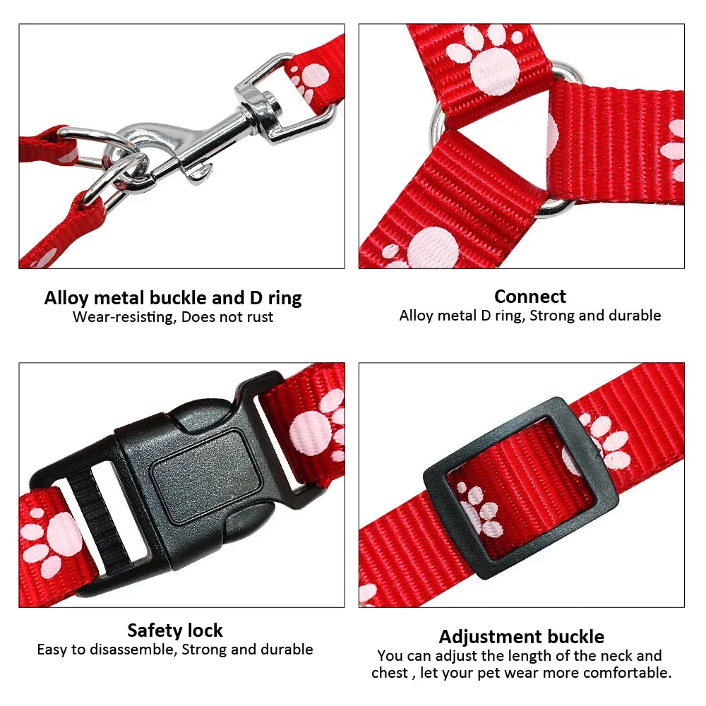 Dog Harness with  cute paw prints for your furry friend