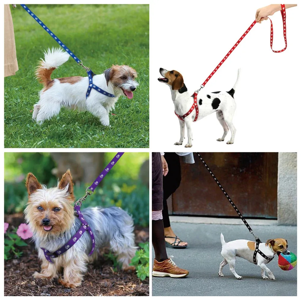 Dog Harness with  cute paw prints for your furry friend