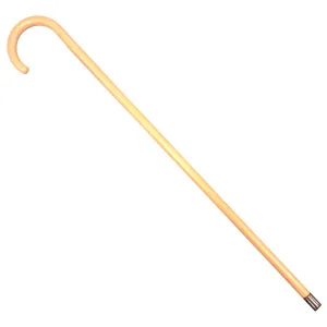 Plastic Wally Walking Cane