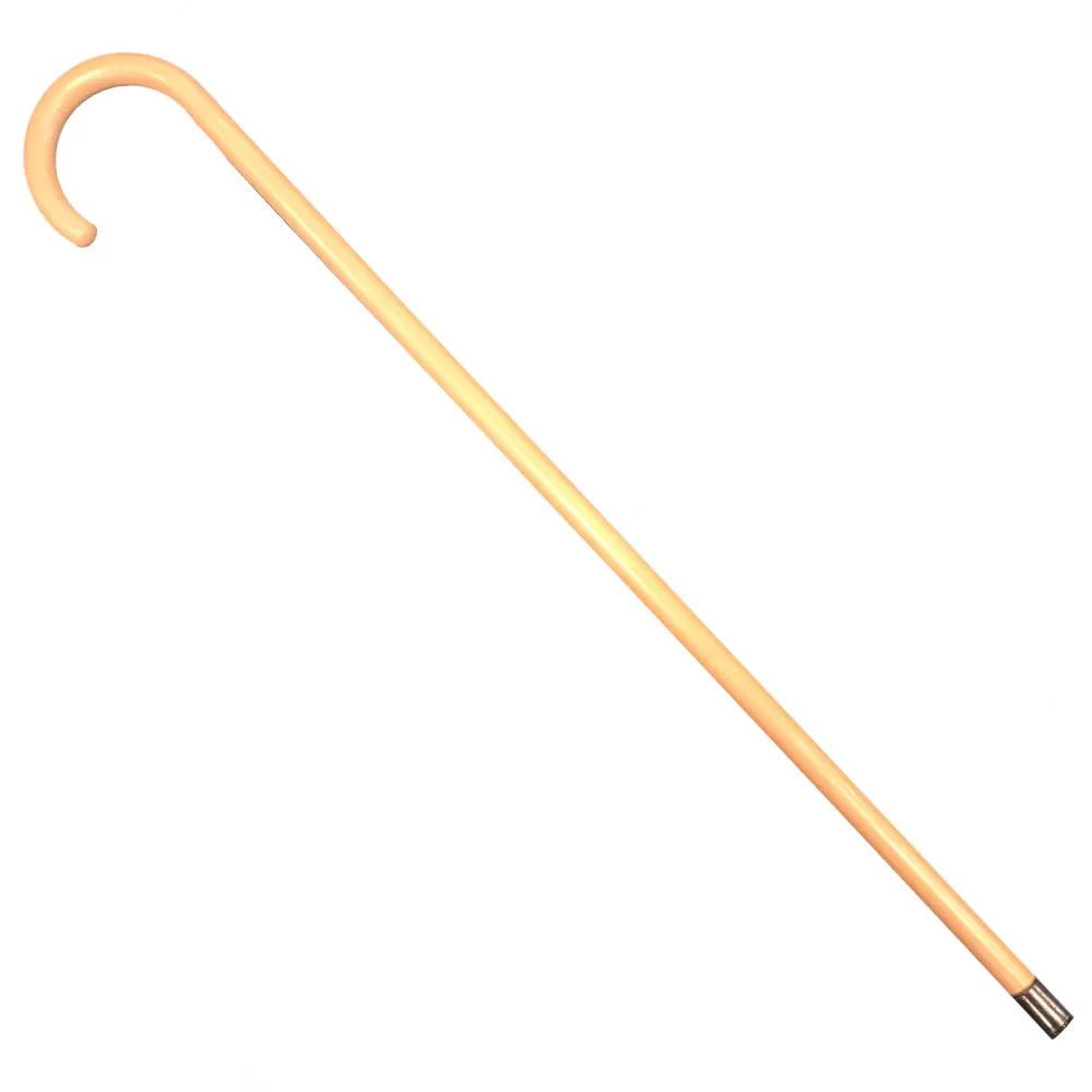 Plastic Wally Walking Cane