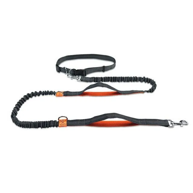 Premium Hands-Free Dog Leash with Adjustable Waist Belt - Ultimate Convenience for Active Pet Owners!