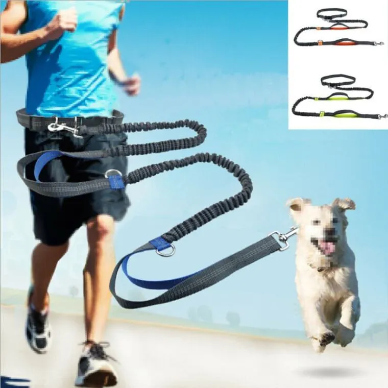 Premium Hands-Free Dog Leash with Adjustable Waist Belt - Ultimate Convenience for Active Pet Owners!