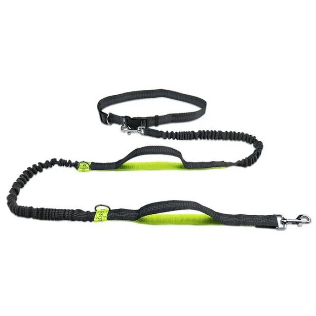 Premium Hands-Free Dog Leash with Adjustable Waist Belt - Ultimate Convenience for Active Pet Owners!