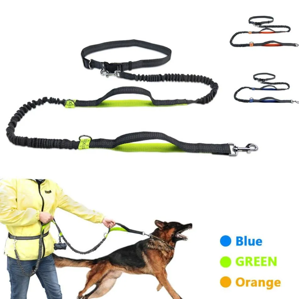 Premium Hands-Free Dog Leash with Adjustable Waist Belt - Ultimate Convenience for Active Pet Owners!