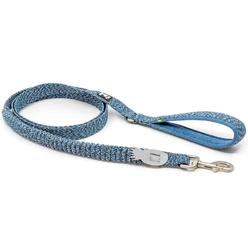 Razzle Dazzle Dog Spring Leash