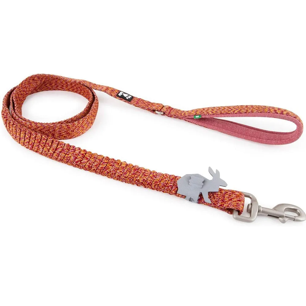 Razzle Dazzle Dog Spring Leash