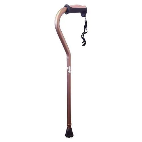 Swan Neck Walking Stick