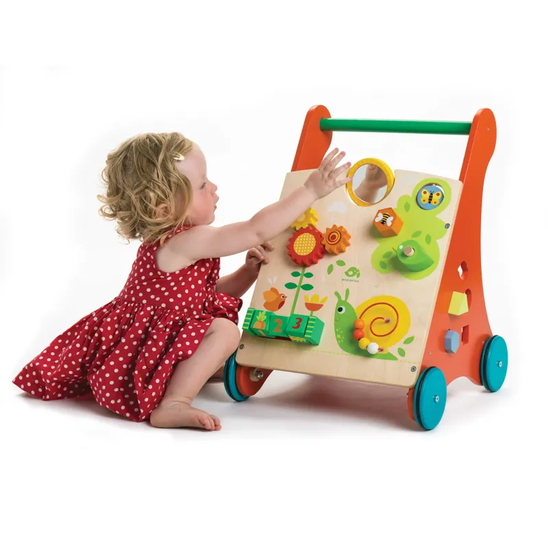 Tender Leaf Baby Activity Walker