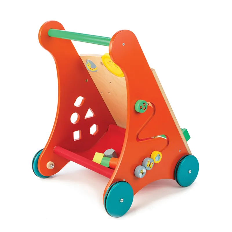 Tender Leaf Baby Activity Walker