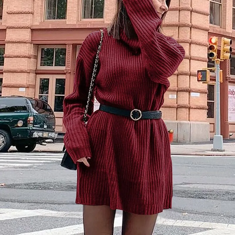 Women's Turtleneck Knit Long Sleeve Chunky Loose Sweater Dress